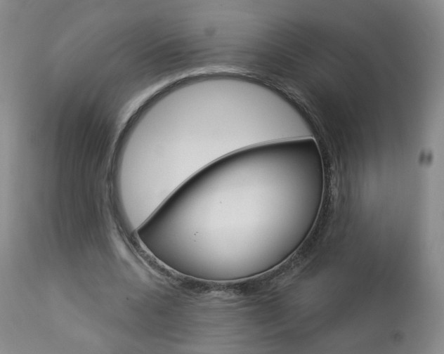 X0000112860536200908211057