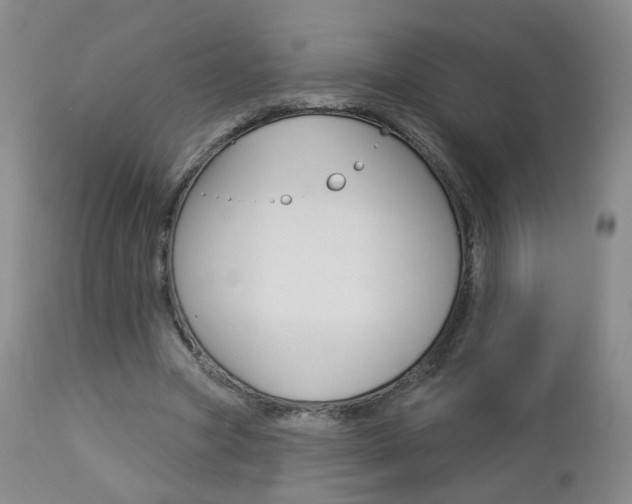 X0000112860537200908211057