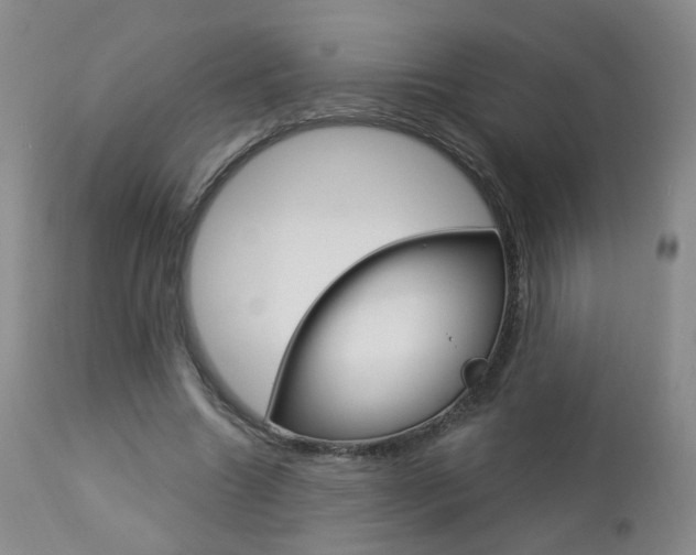X0000112860538200908211057