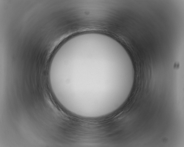 X0000112860540200908211057