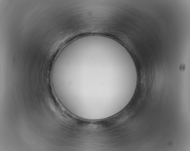 X0000112860542200908211057