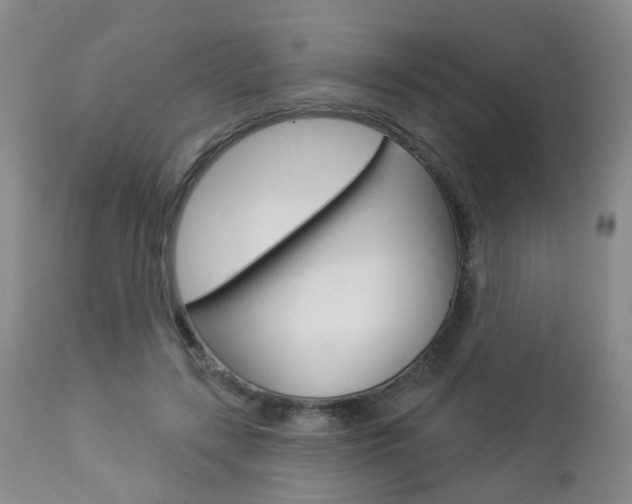 X0000112860547200908211057