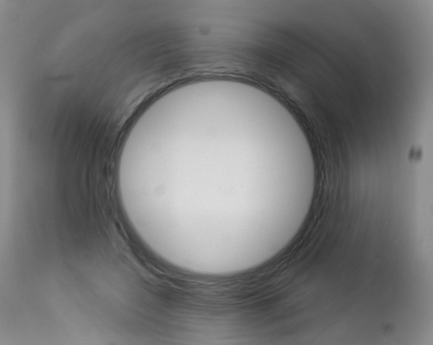 X0000112860548200908211057