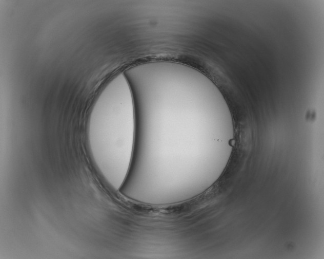 X0000112860550200908211058