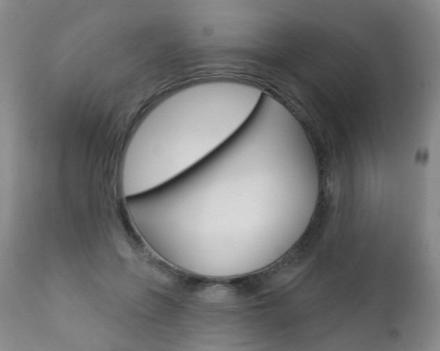 X0000112860551200908211058
