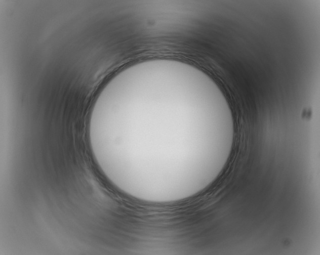 X0000112860552200908211058