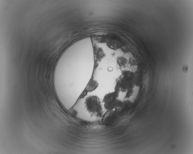 X0000112860553200908211058
