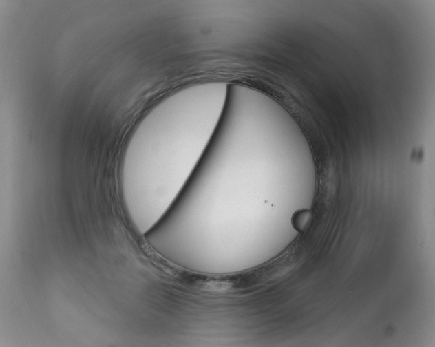 X0000112860554200908211058