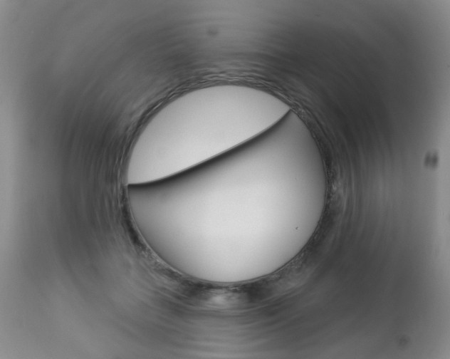 X0000112860555200908211058