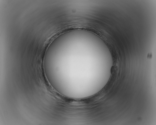 X0000112860556200908211058