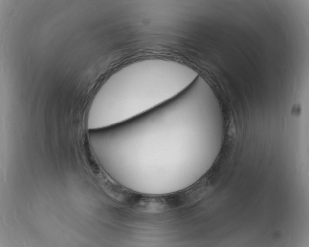 X0000112860559200908211058