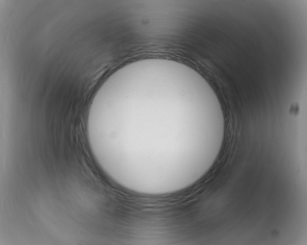 X0000112860560200908211058