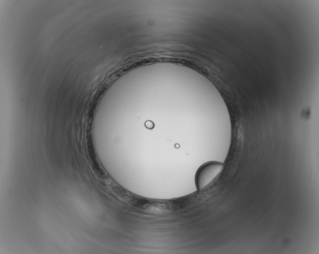 X0000112860567200908211058