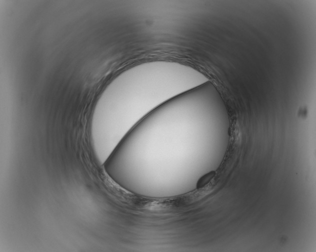 X0000112860568200908211058