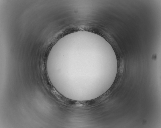 X0000112860569200908211058
