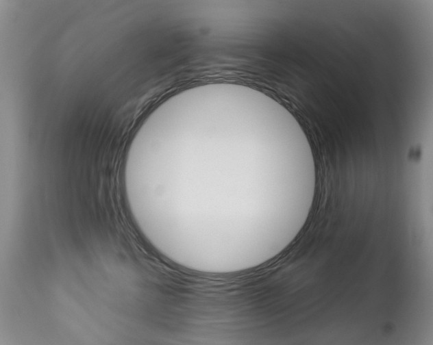 X0000112860570200908211058