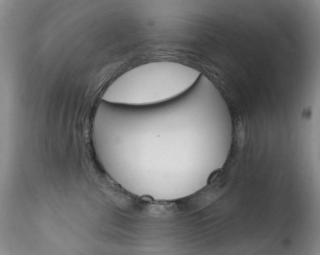 X0000112860571200908211058