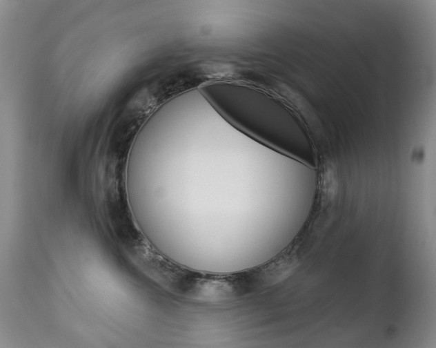 X0000112860572200908211058