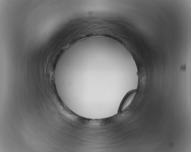 X0000112860574200908211058