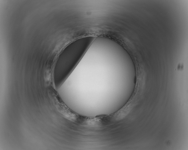 X0000112860576200908211058