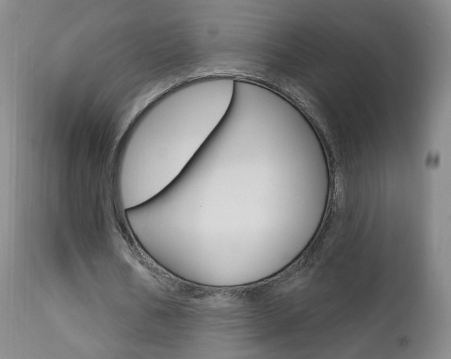 X0000112860578200908211057