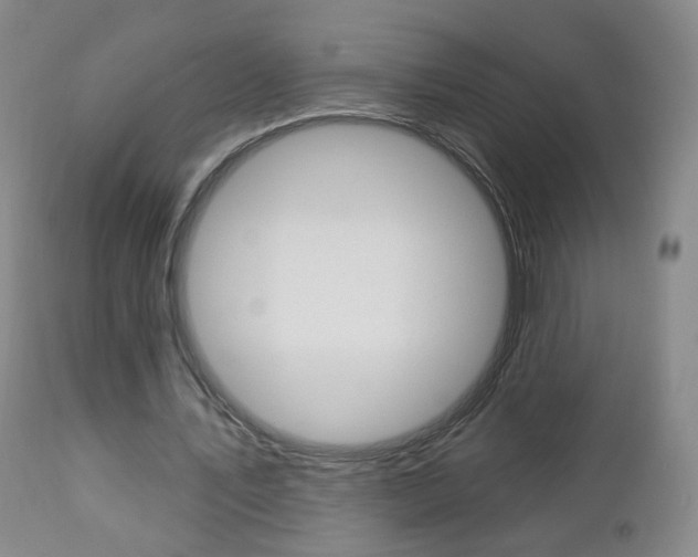 X0000112860579200908211057