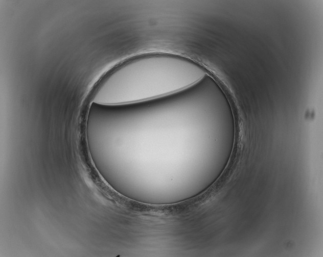 X0000112860580200908211057