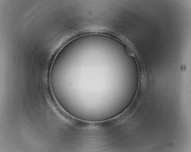 X0000112860581200908211057