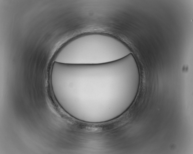 X0000112860582200908211057