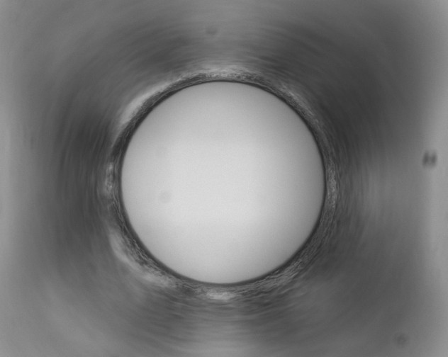 X0000112860583200908211057