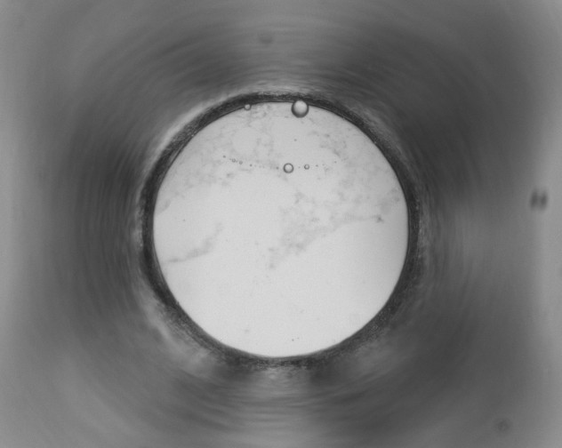 X0000112860584200908211057