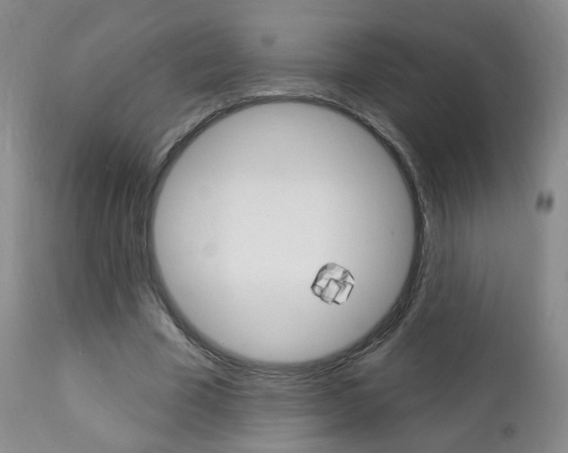 X0000112860585200908211057