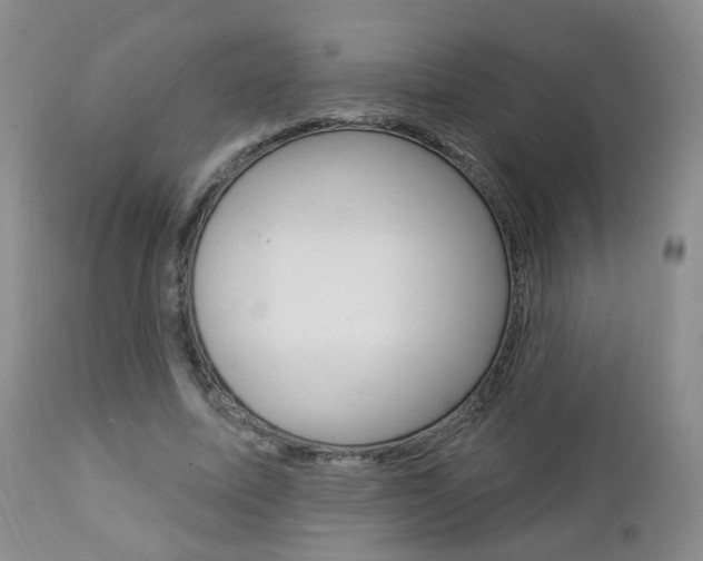 X0000112860587200908211057