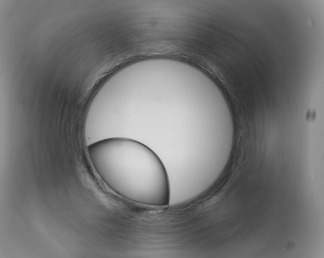 X0000112860589200908211057