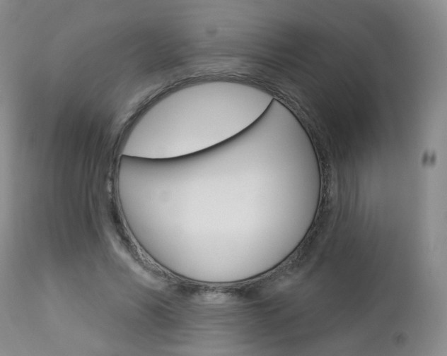 X0000112860590200908211057