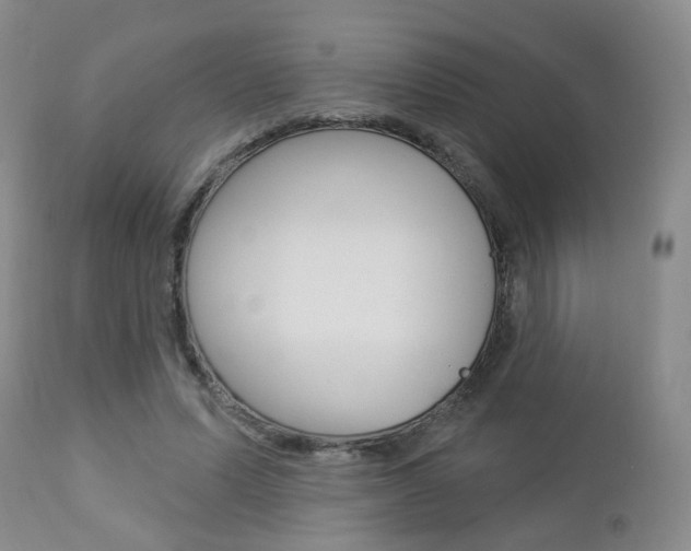 X0000112860591200908211057