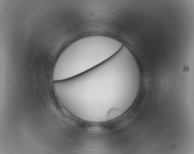X0000112860594200908211057