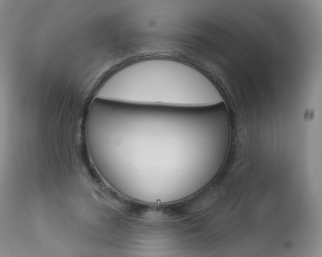 X0000112860596200908211057