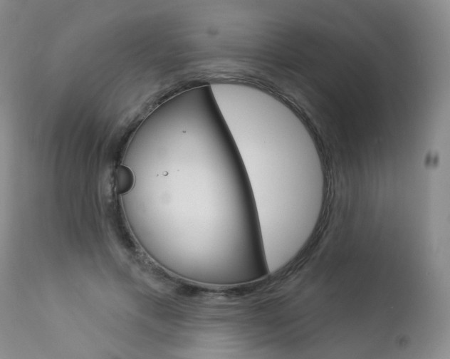 X0000112860597200908211057
