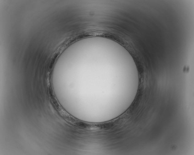 X0000112860598200908211057