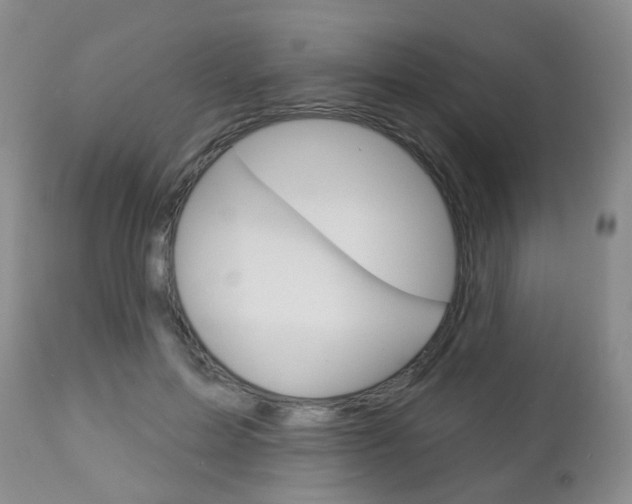 X0000112860599200908211057