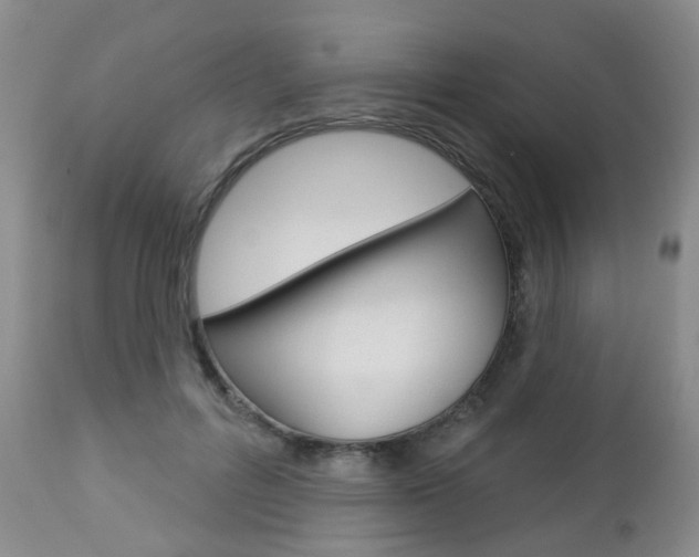 X0000112860600200908211057