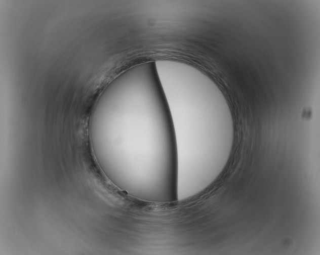 X0000112860601200908211057