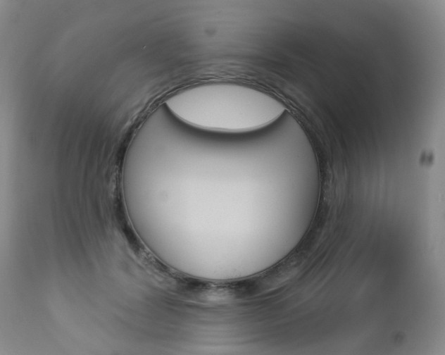 X0000112860604200908211057