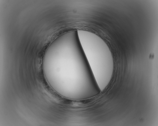 X0000112860605200908211057