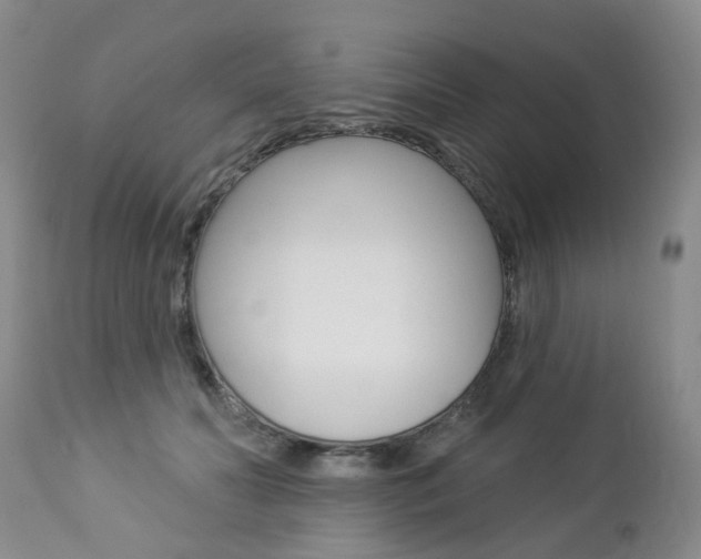 X0000112860606200908211057