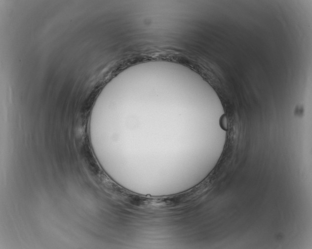 X0000112860607200908211057