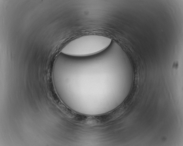 X0000112860608200908211057