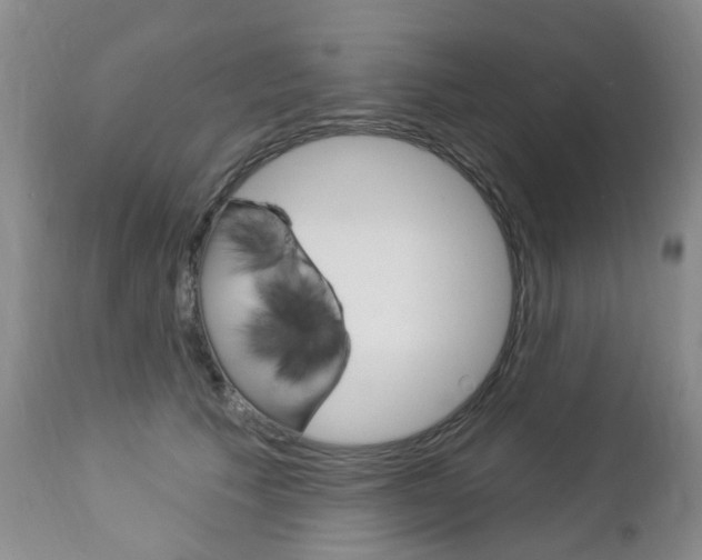 X0000112860609200908211057
