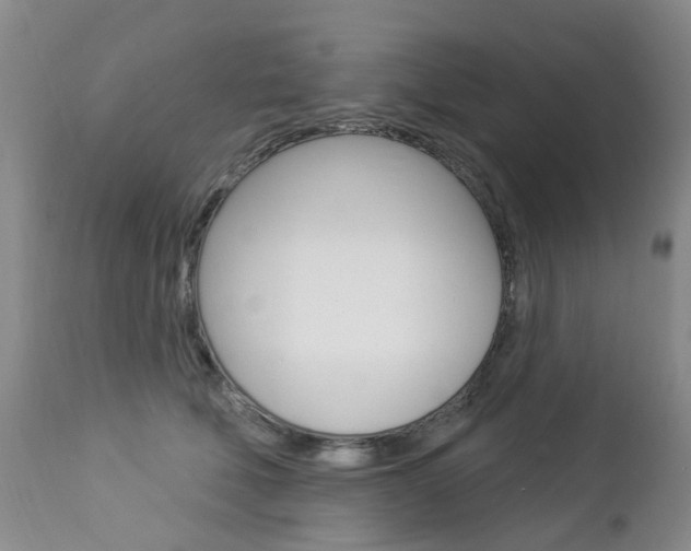 X0000112860610200908211057